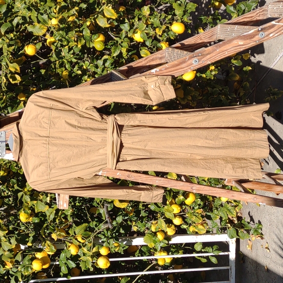 J. Crew Fit and Flare Cotton Dress Collar Button Down Tan S - Picture 7 of 11